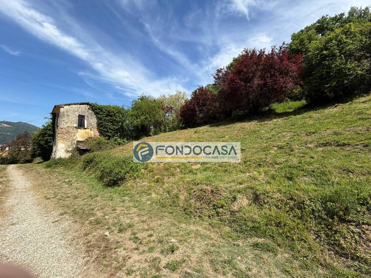 immagine annuncio 5 di 12