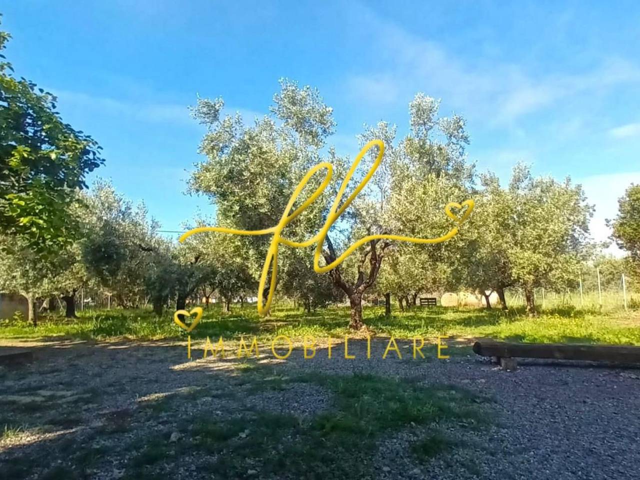 immagine annuncio 4 di 7