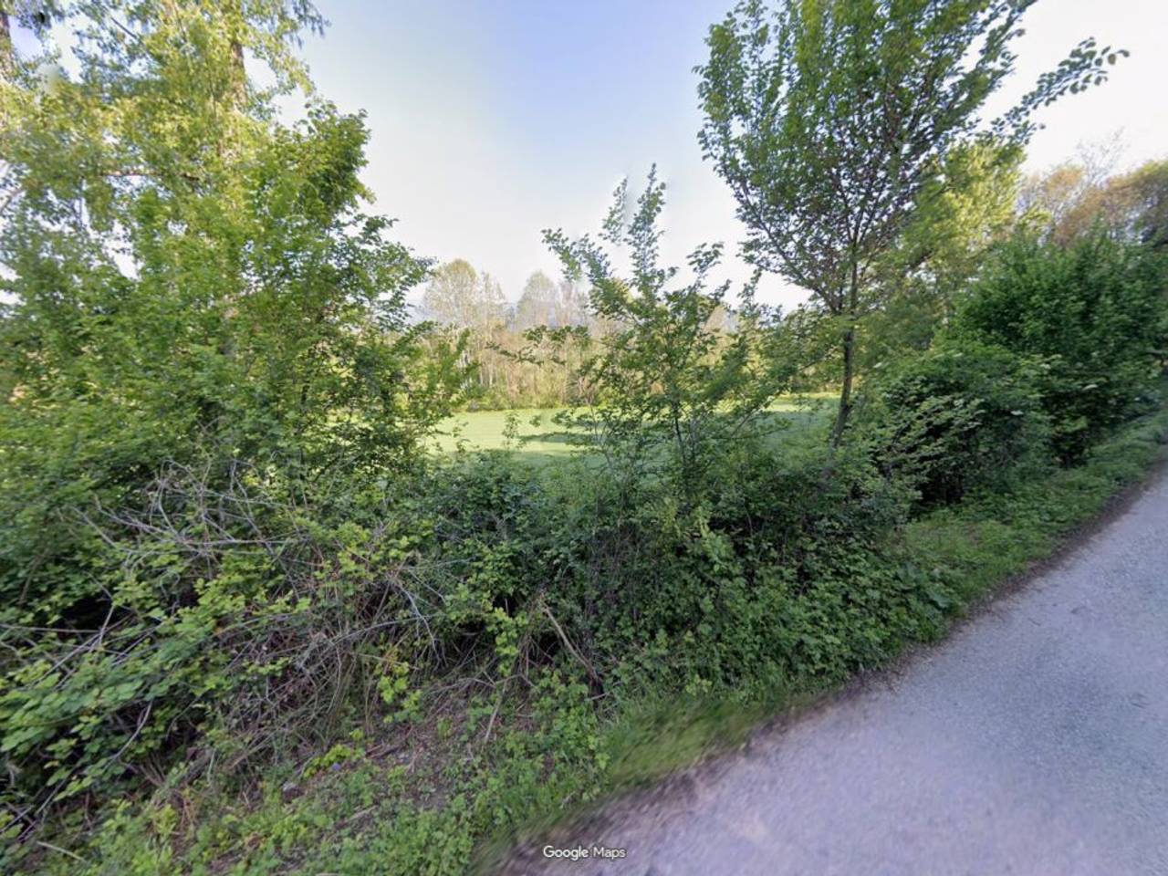 immagine annuncio 12 di 13