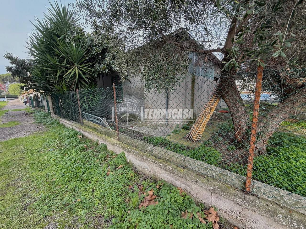 immagine annuncio 1 di 8