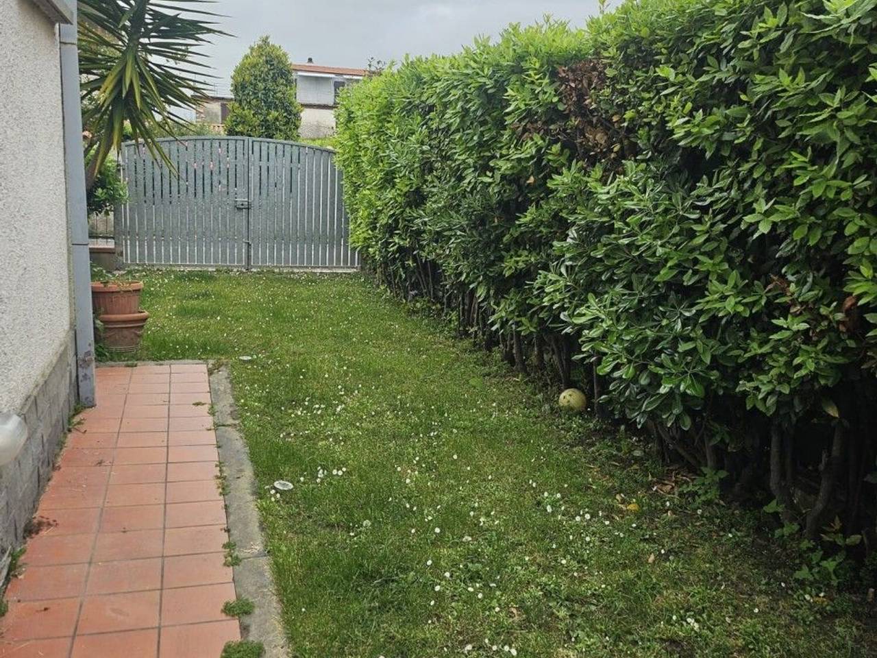 immagine annuncio 3 di 6