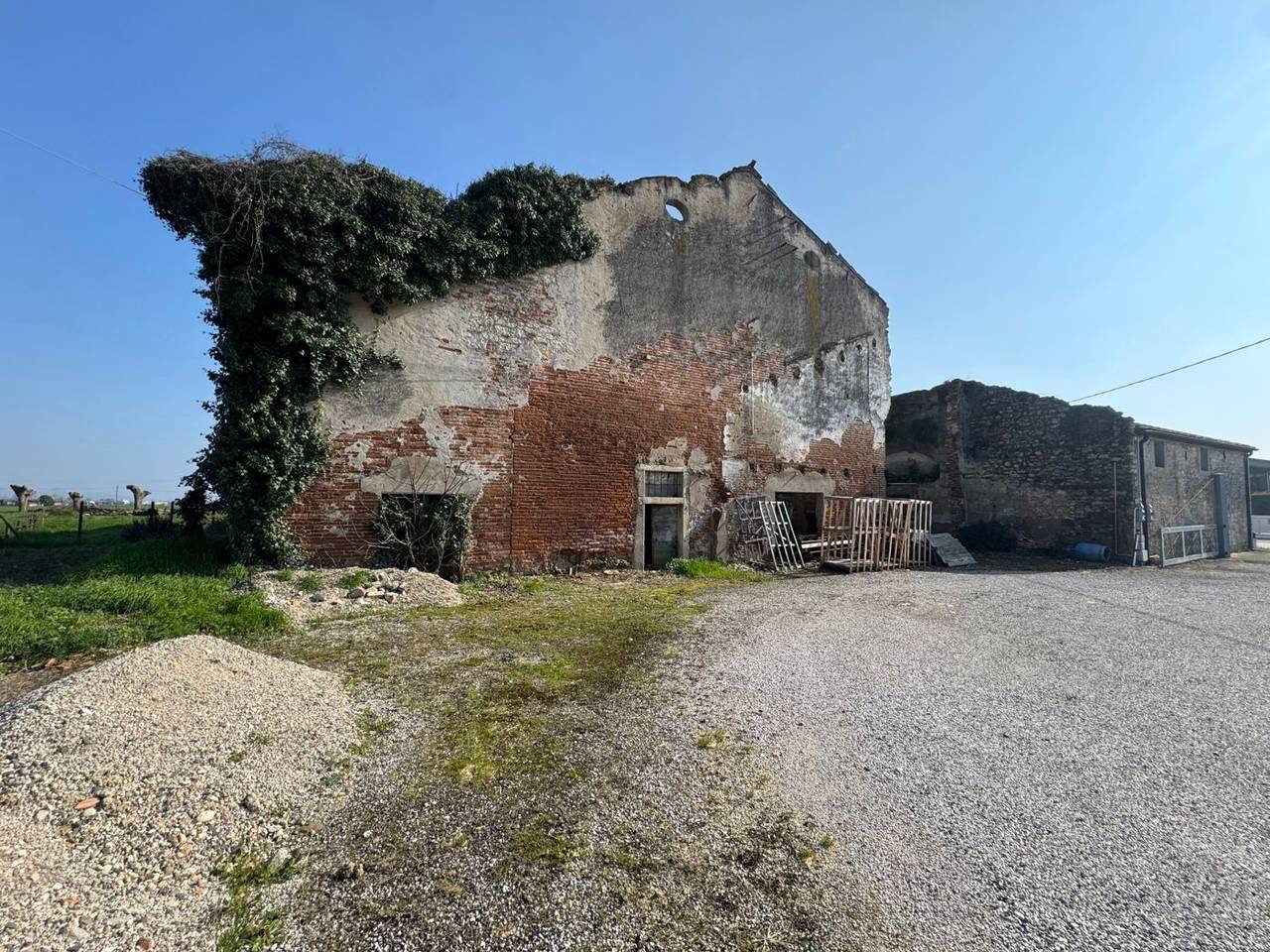 immagine annuncio 6 di 12