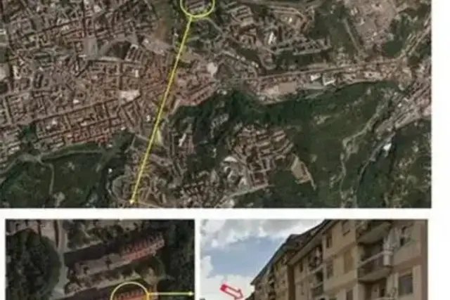 insertion image