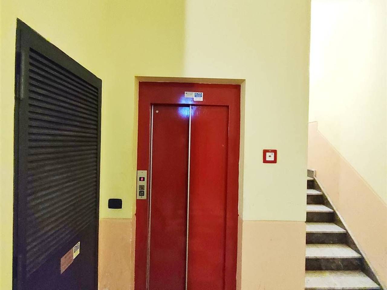 immagine annuncio 7 di 12