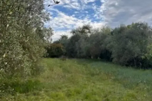 insertion image