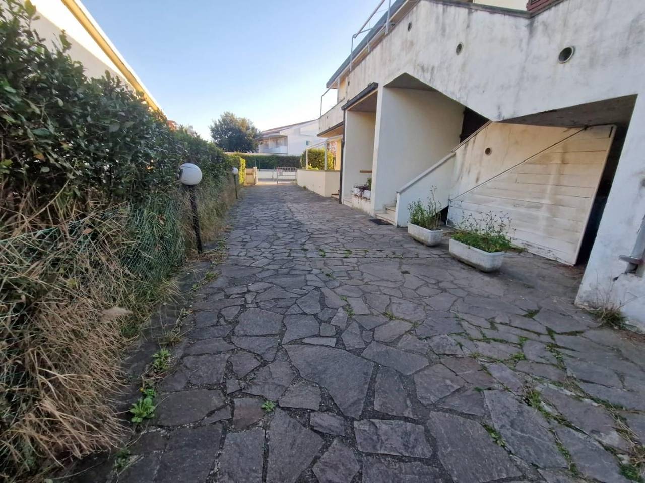 immagine annuncio 2 di 14