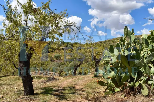 Country house or cottage in Via Tommaso Fazello 228, Noto - Photo 1