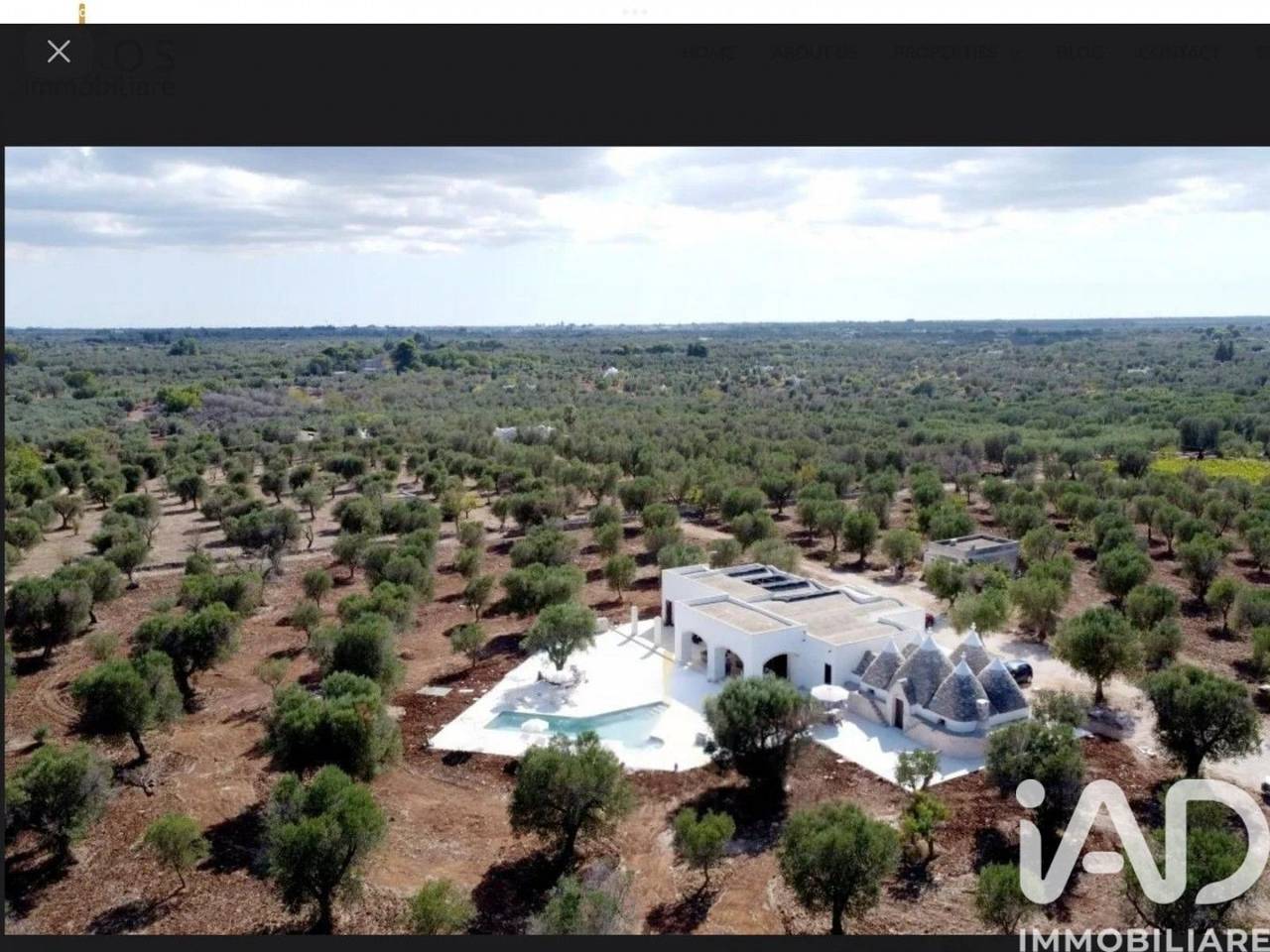 immagine annuncio 13 di 15