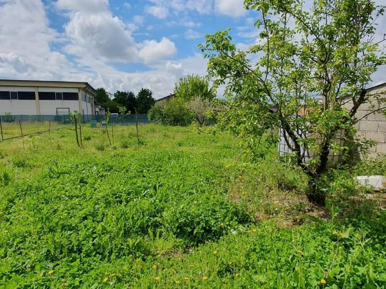 immagine annuncio 6 di 10