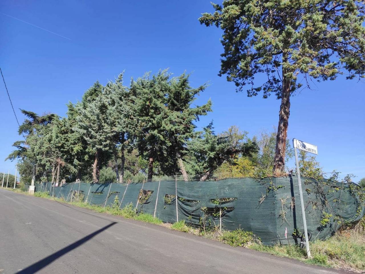 immagine annuncio 3 di 4