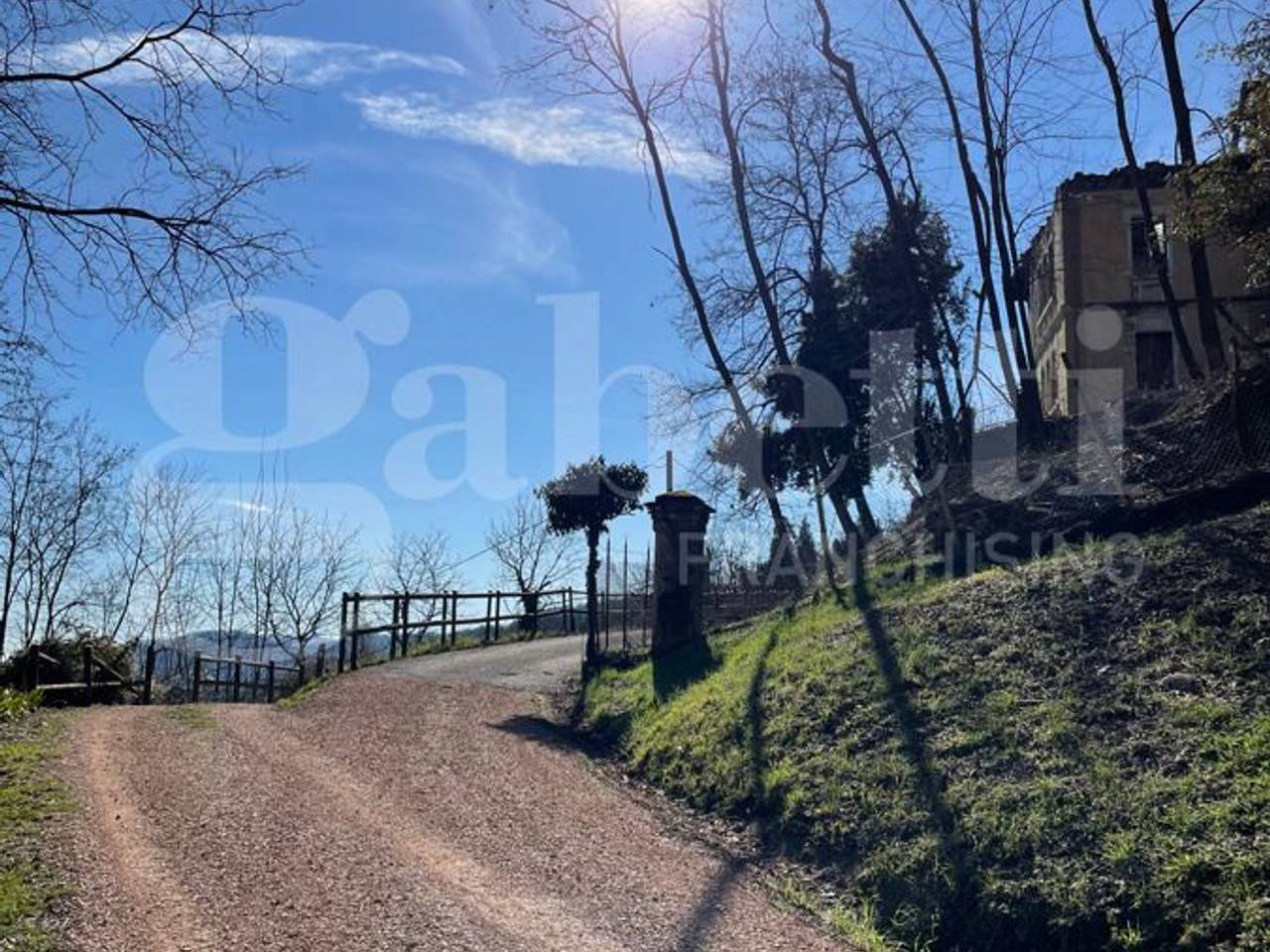 immagine annuncio 4 di 8