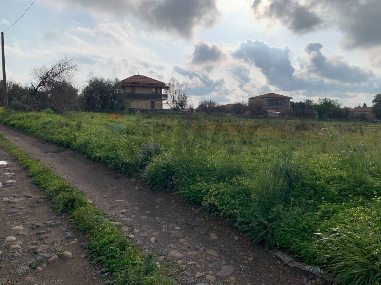 immagine annuncio 5 di 7