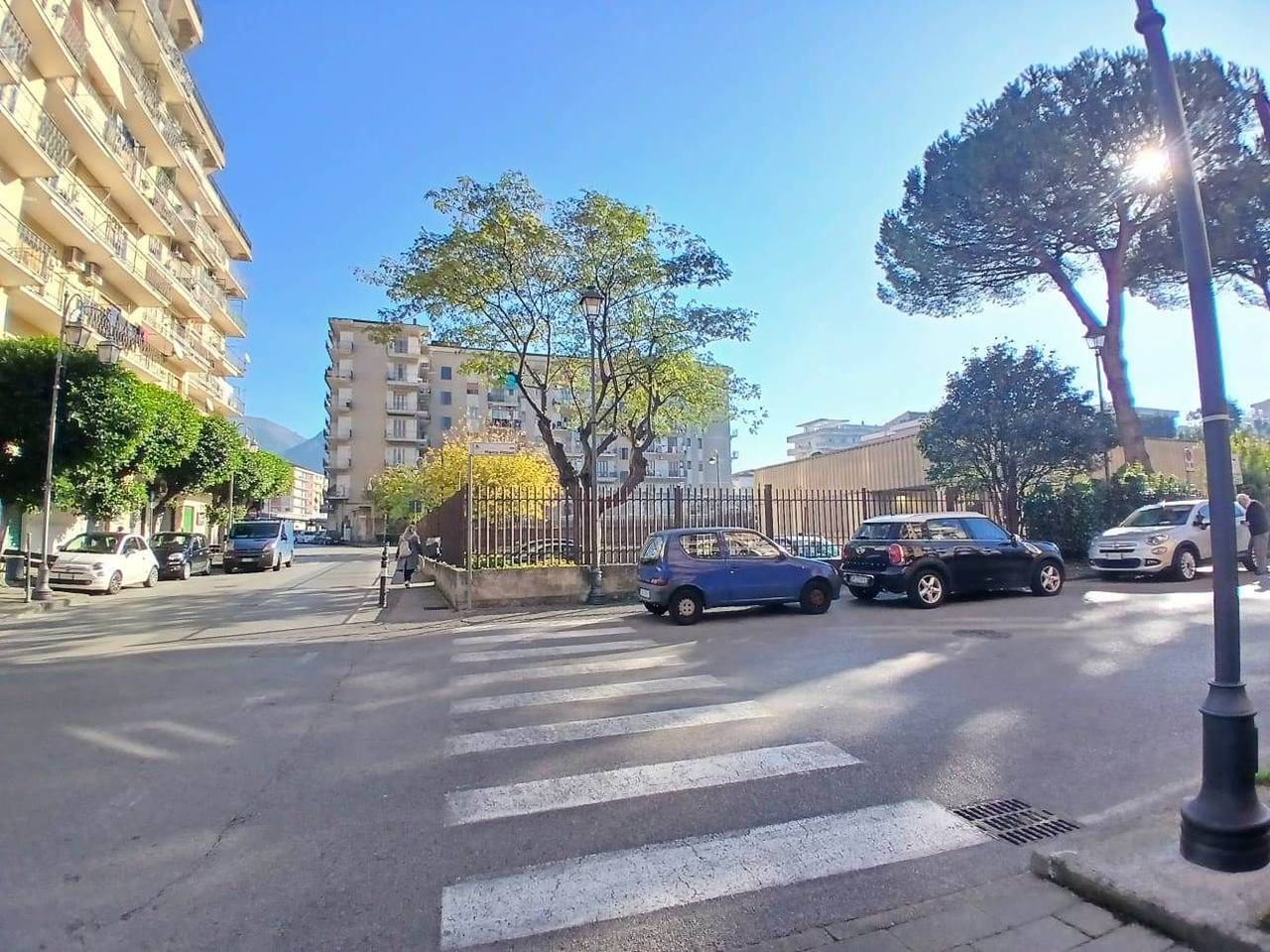 immagine annuncio 1 di 14