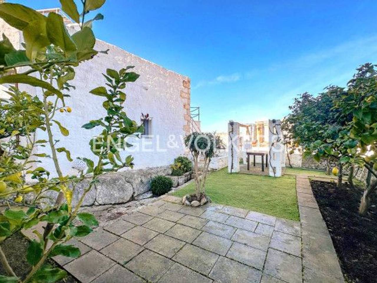 immagine annuncio 5 di 8