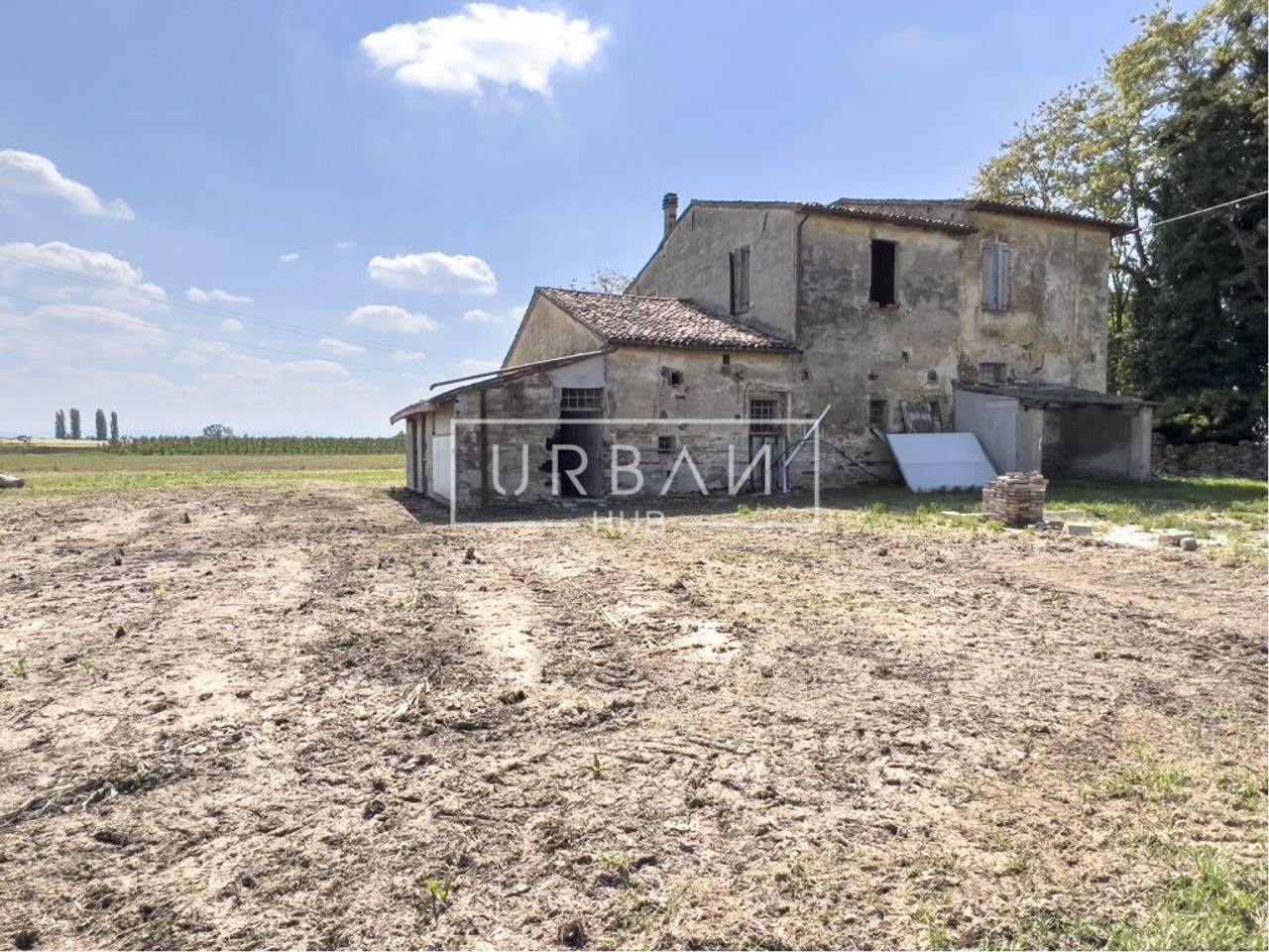 immagine annuncio 4 di 8