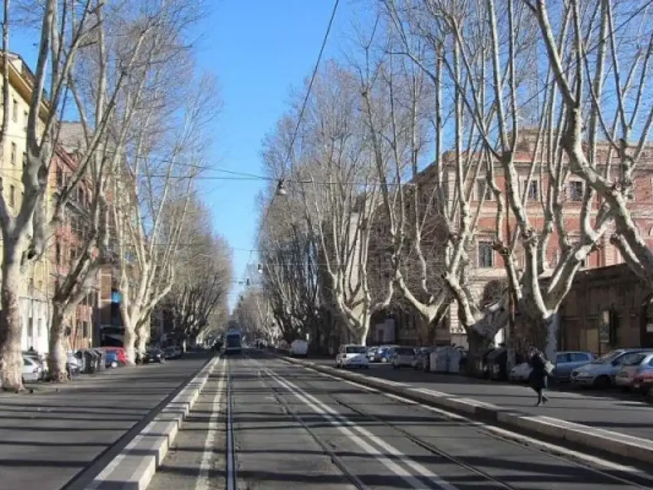 Ufficio in Viale di Trastevere, Roma, {3} - Foto 1