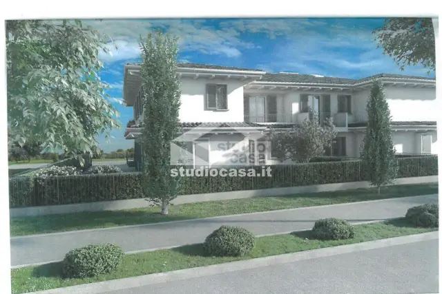 insertion image