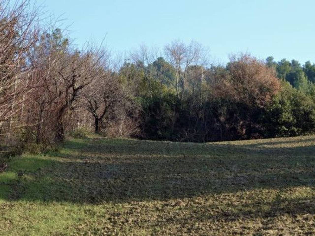 immagine annuncio 1 di 8