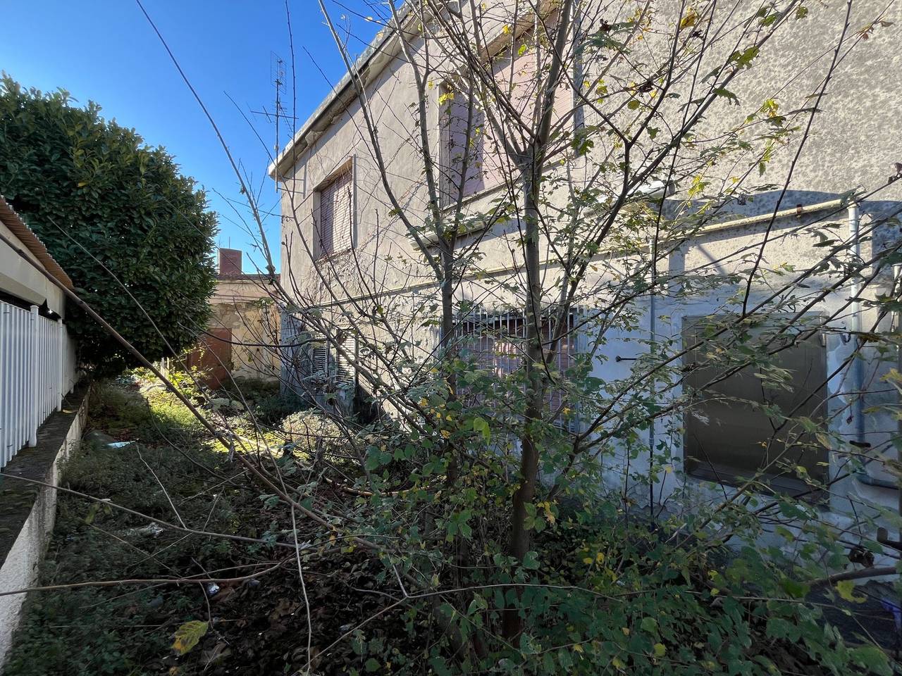 immagine annuncio 12 di 14