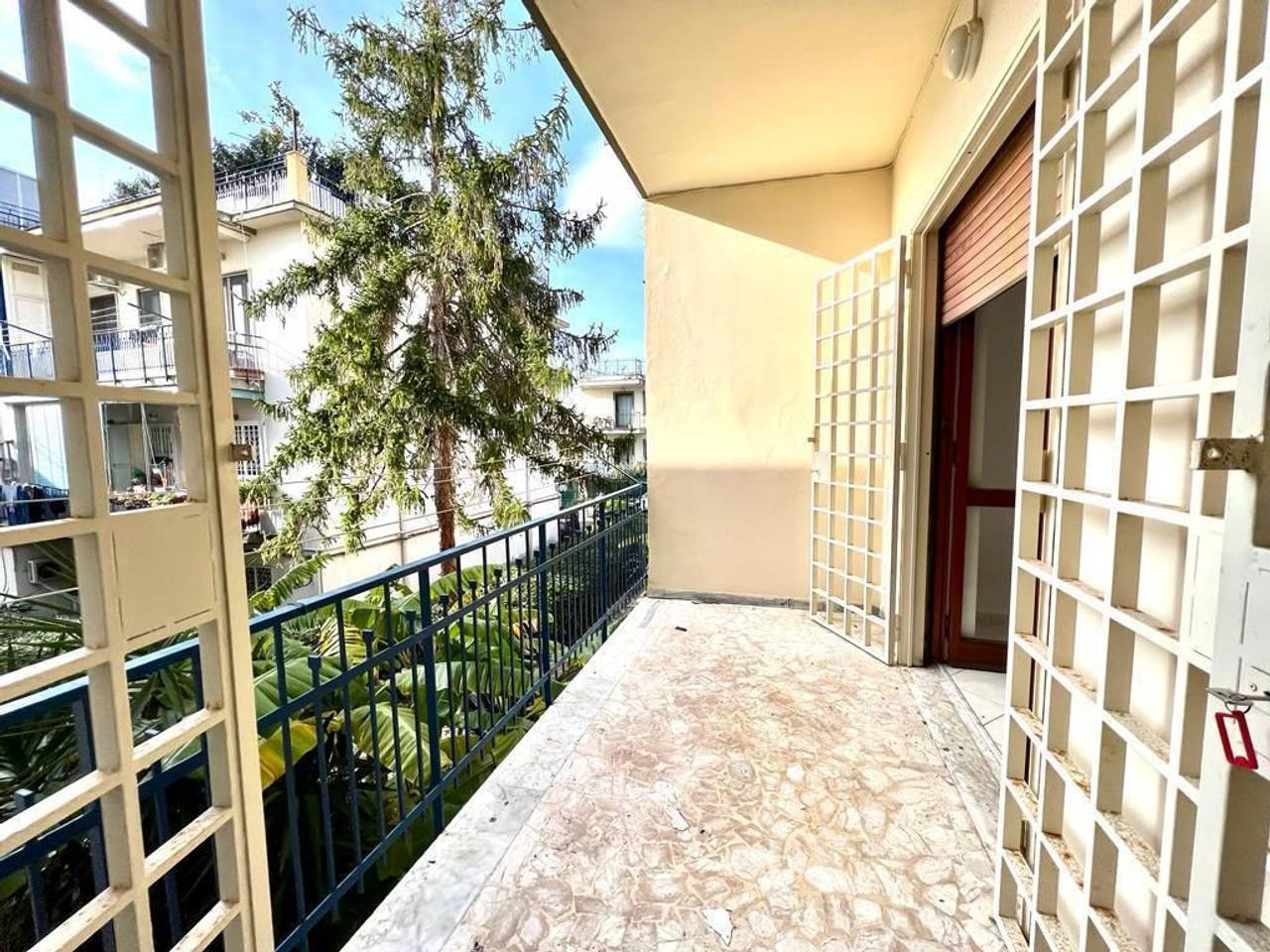 immagine annuncio 12 di 14