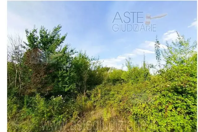 insertion image