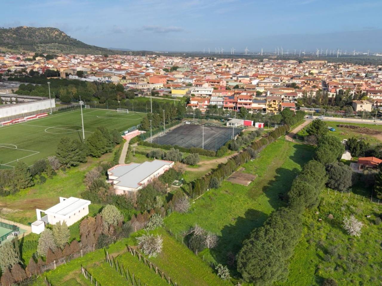 immagine annuncio 10 di 12