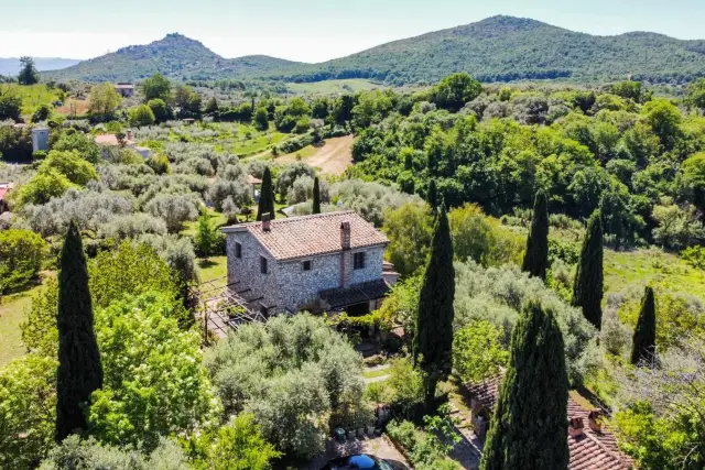 insertion image