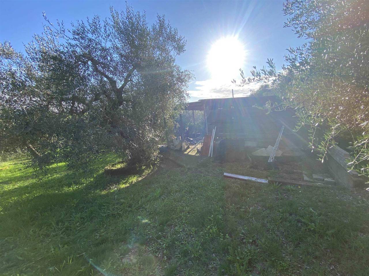 immagine annuncio 1 di 11