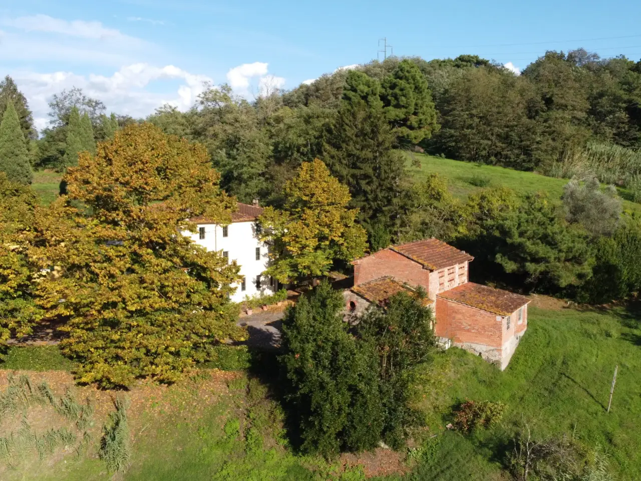 Azienda agricola in Via Tofori, Capannori, {3} - Foto 1