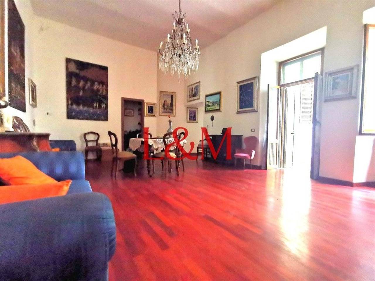 immagine annuncio 7 di 15