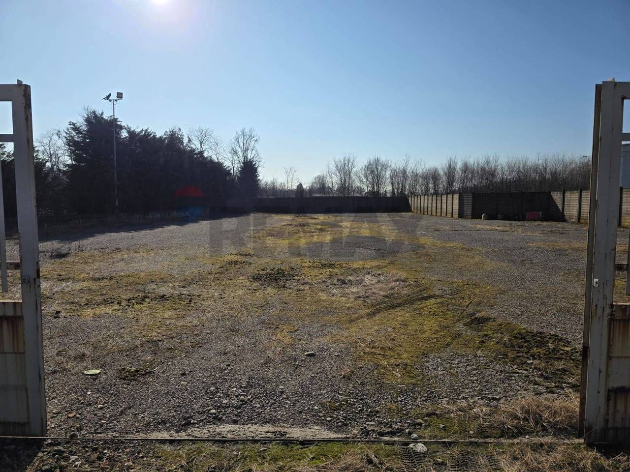 immagine annuncio 2 di 8