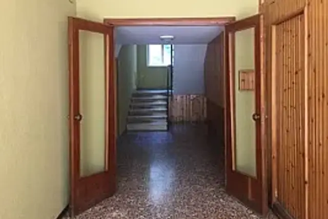 insertion image