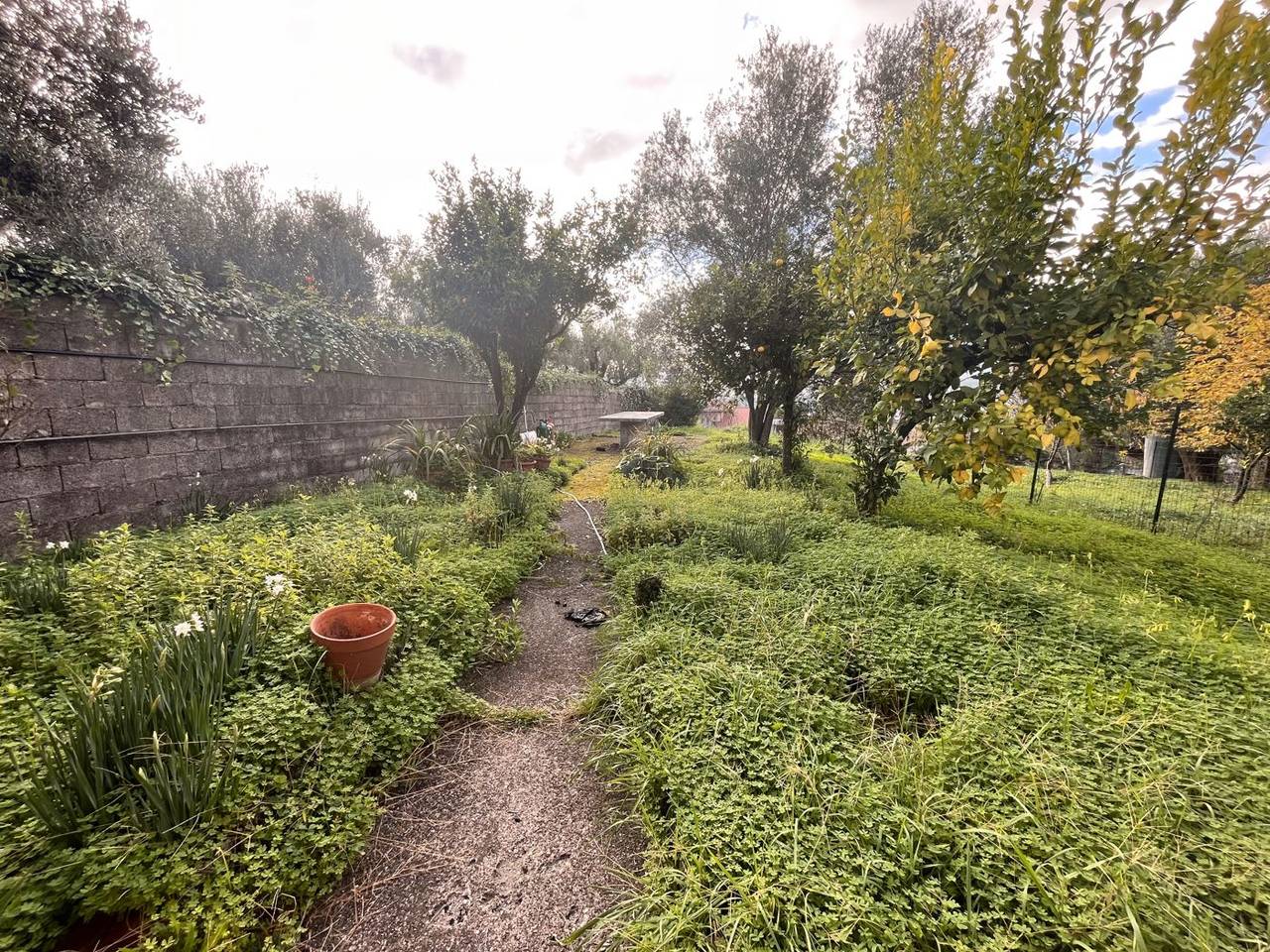 immagine annuncio 13 di 14