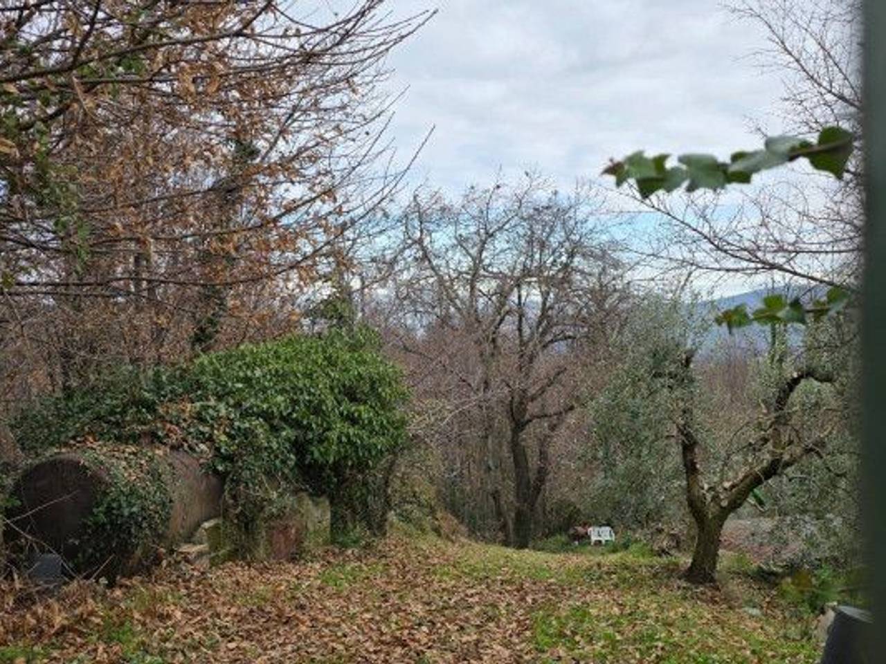 immagine annuncio 5 di 13