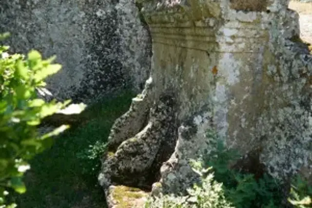 insertion image