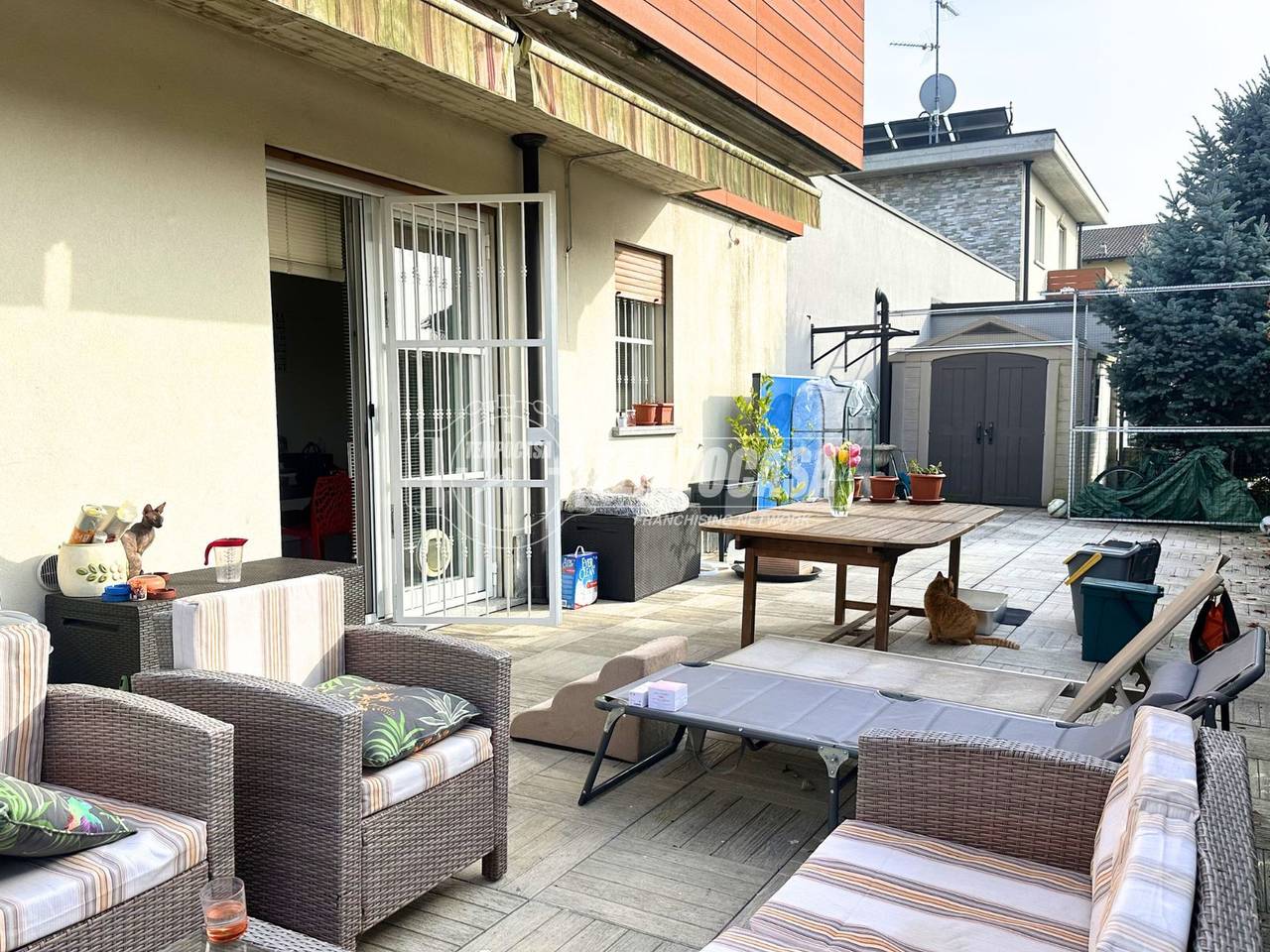 immagine annuncio 5 di 15