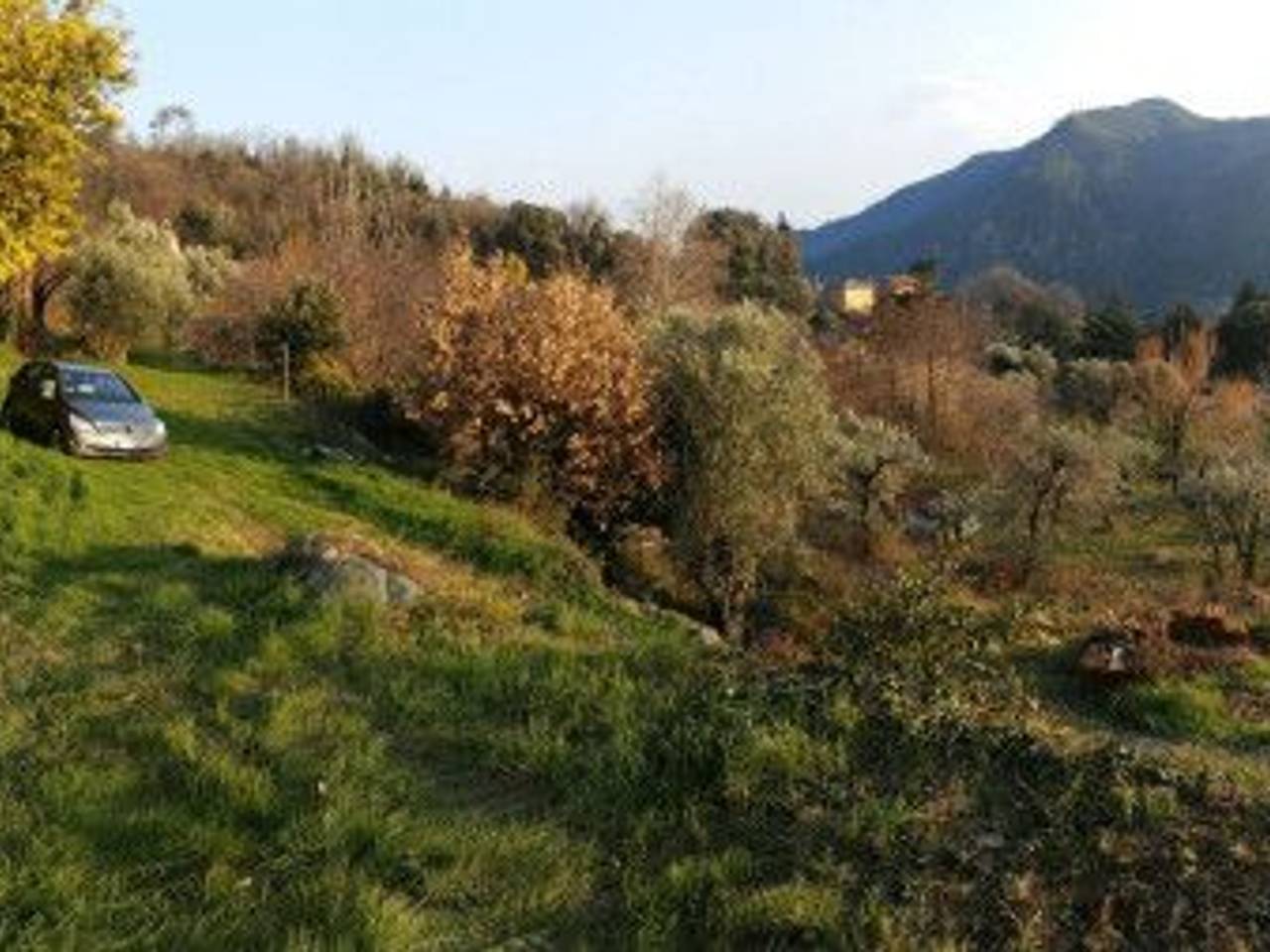 immagine annuncio 8 di 14