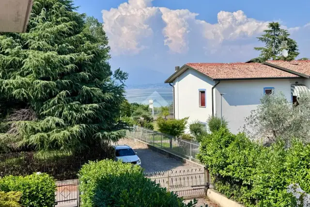 insertion image