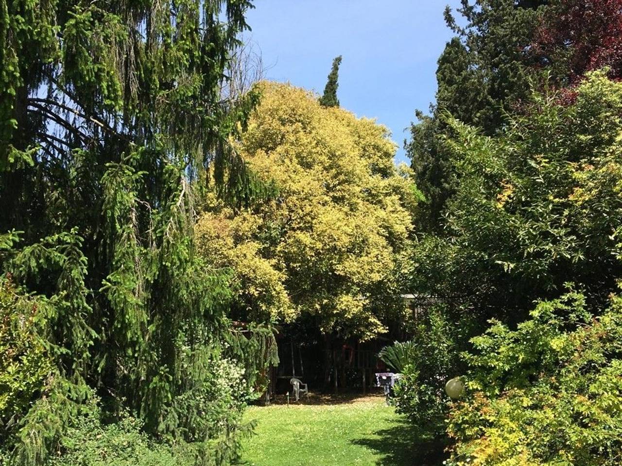 immagine annuncio 6 di 11