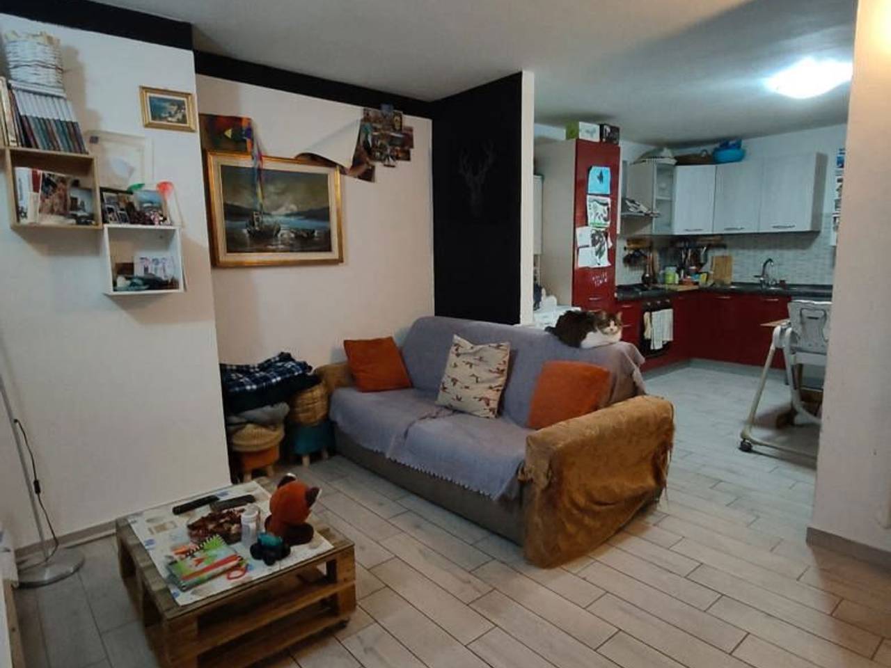 immagine annuncio 6 di 15