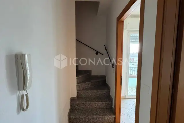 insertion image