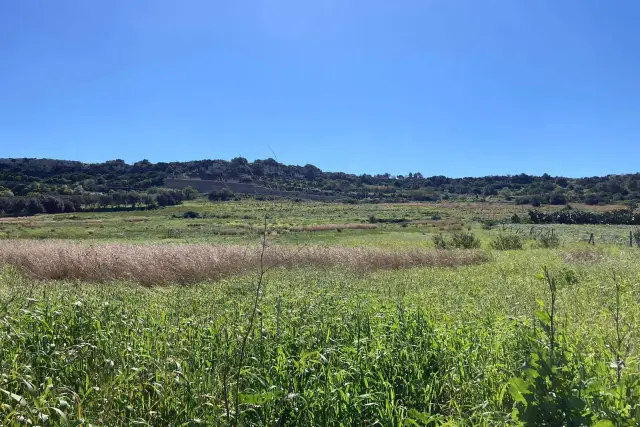 Terreno agricolo in Contrada Saiazza, Pachino - Foto 1