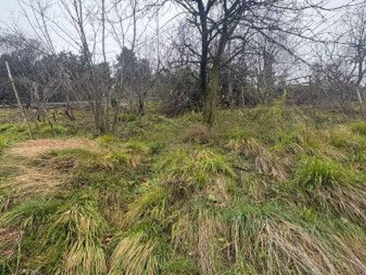 immagine annuncio 7 di 8