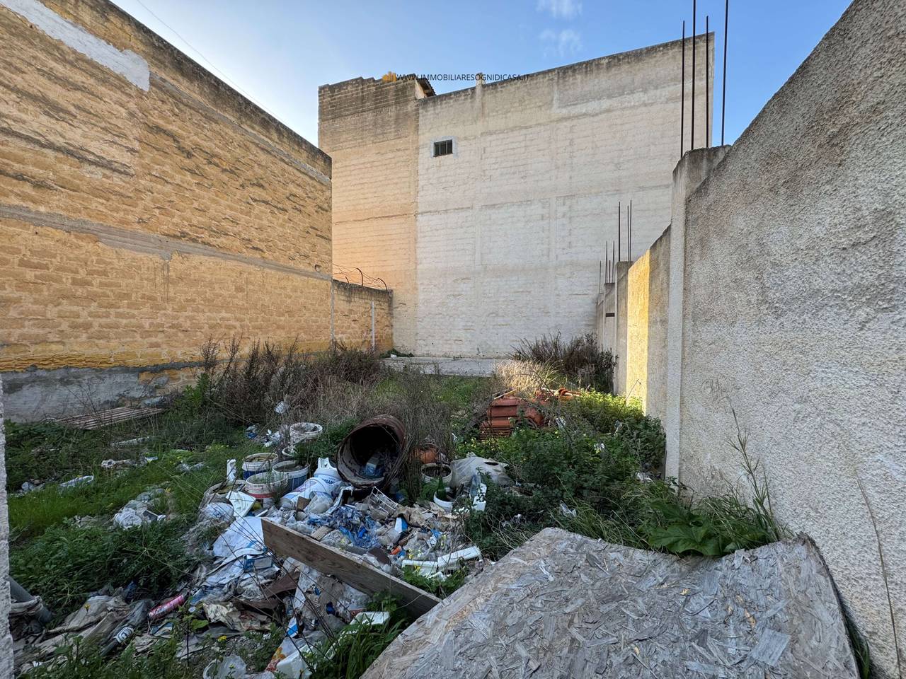 immagine annuncio 2 di 3