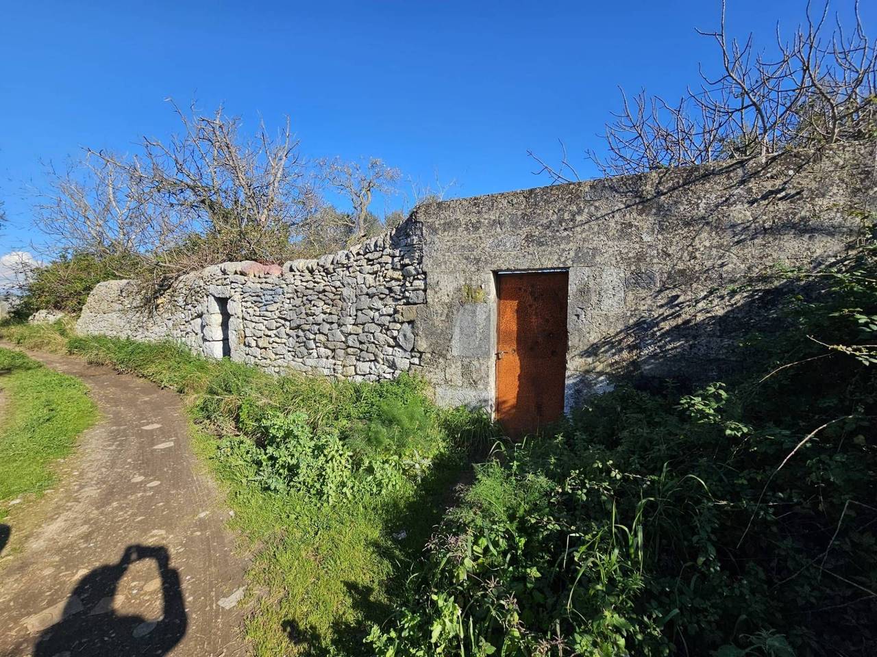 immagine annuncio 10 di 11