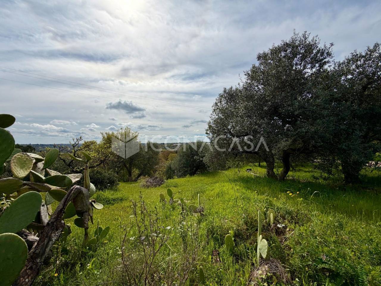 immagine annuncio 7 di 11