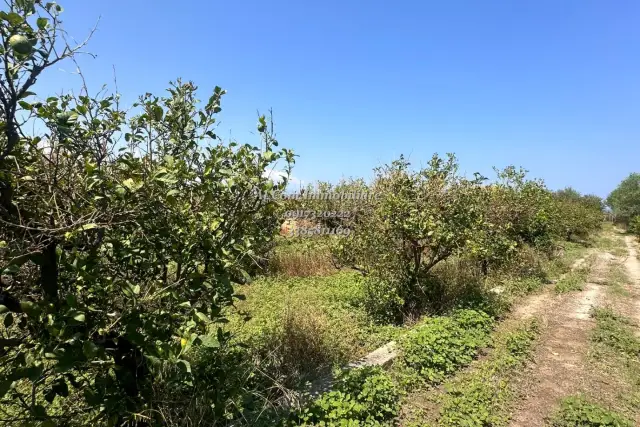 Terreno agricolo in {3}, Strada Statale 113 - Foto 1