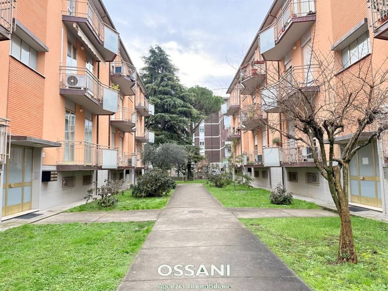 immagine annuncio 12 di 13