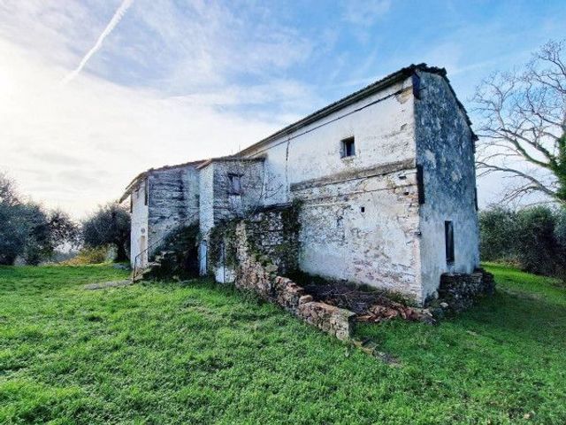 Rustico in Via Fonte Vecchia, Palaia - Foto 1