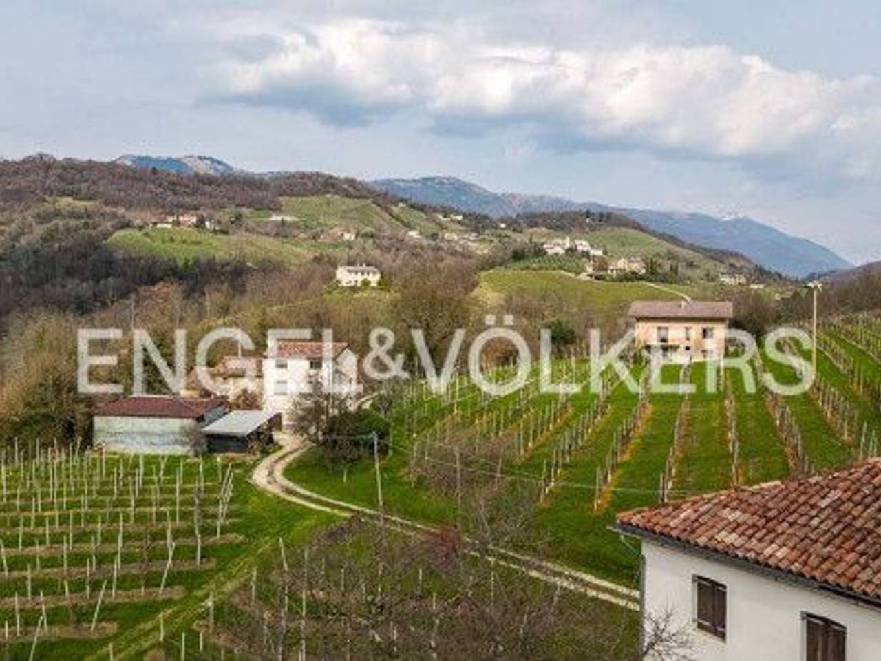 immagine annuncio 2 di 8